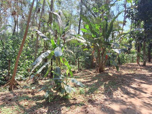 #T04 - Área para Venda em Paraty - RJ